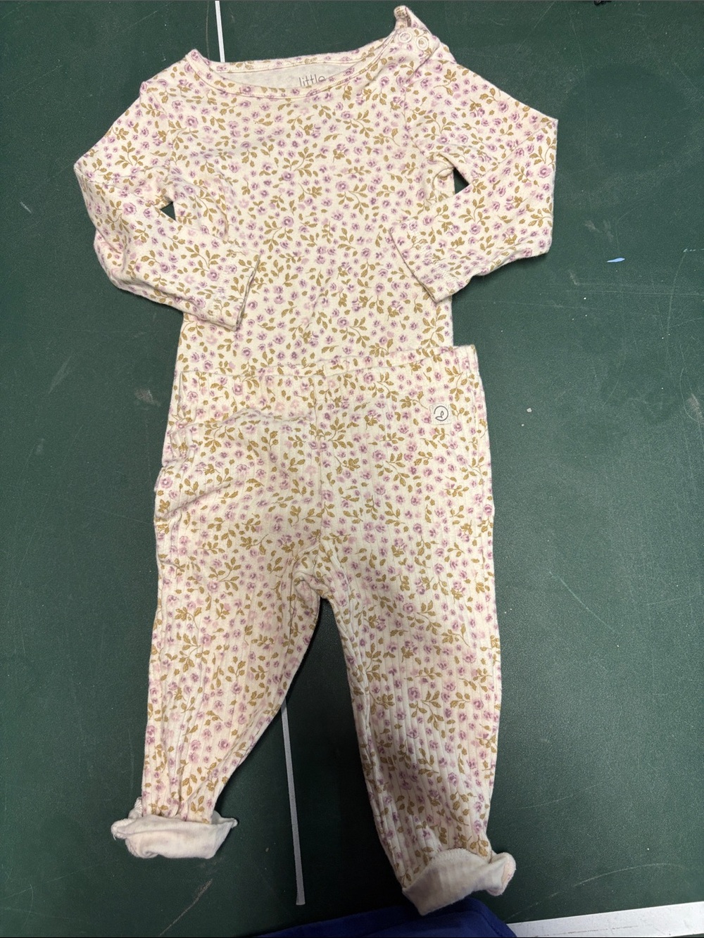 Floral Long-Sleeve Bodysuit & Pant Set in Light Pink by